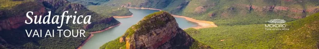 tour-in-sudafrica-mokoro