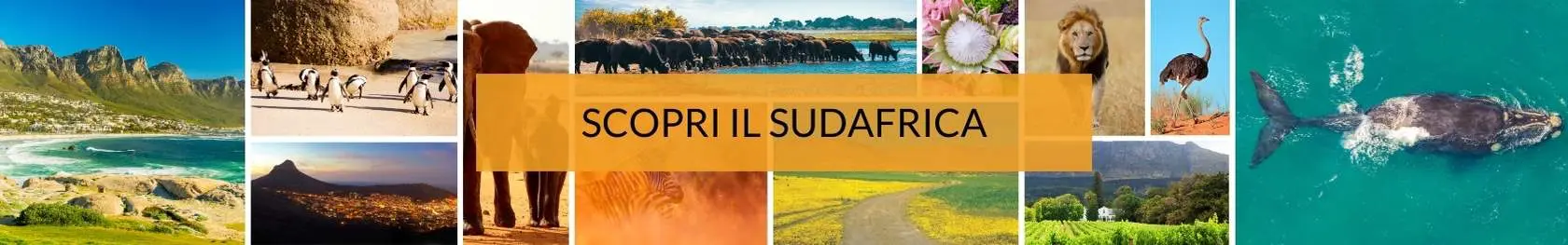 viaggi-in-sudafrica-mokoro