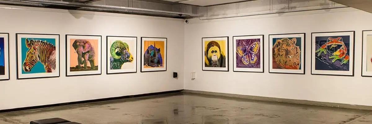 viaggio-a-johannesburg-mokoro