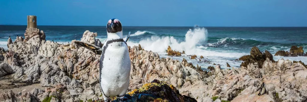 viaggio-in-africa-con-bambini-mokoro (2)