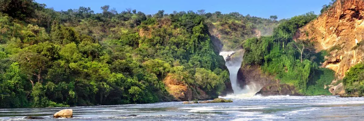 gorilla-di-montagna-cascate-murchison-mokoro