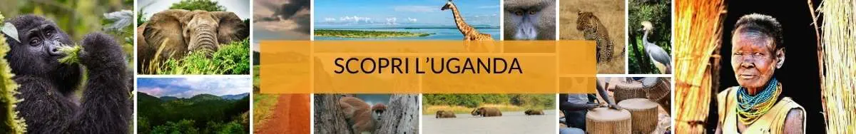 viaggi-in-uganda-mokoro