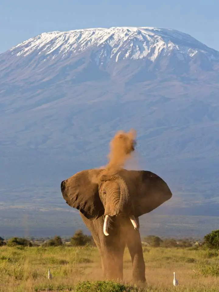 Safari in Tanzania e mare