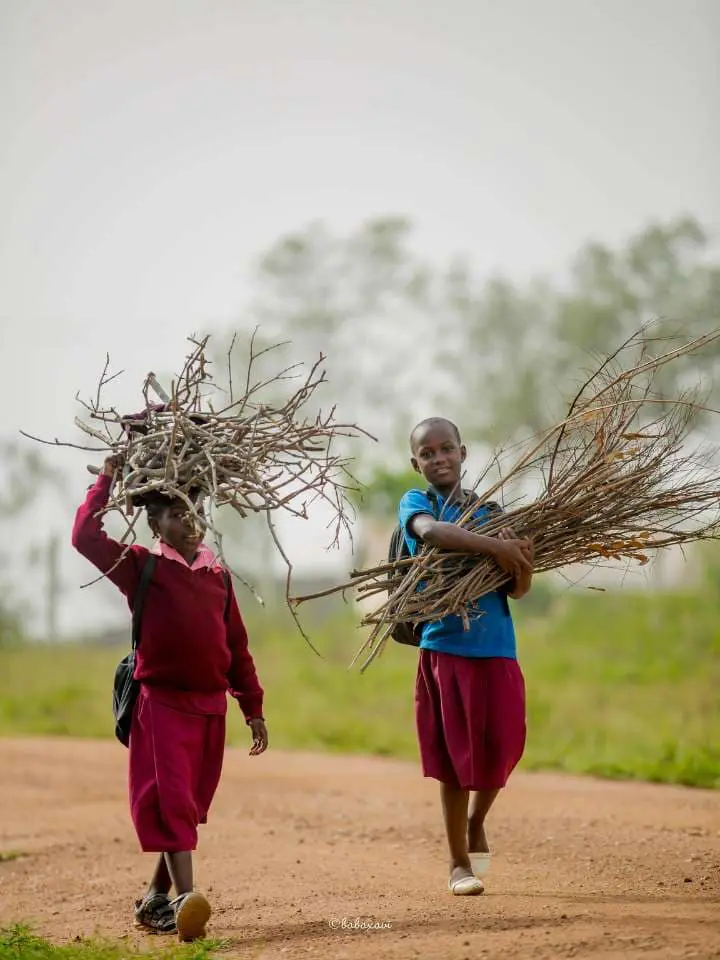 Tanzania safari e mare