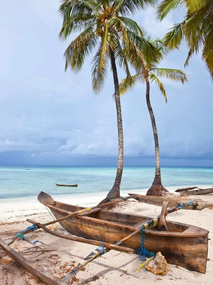 Tanzania safari e mare
