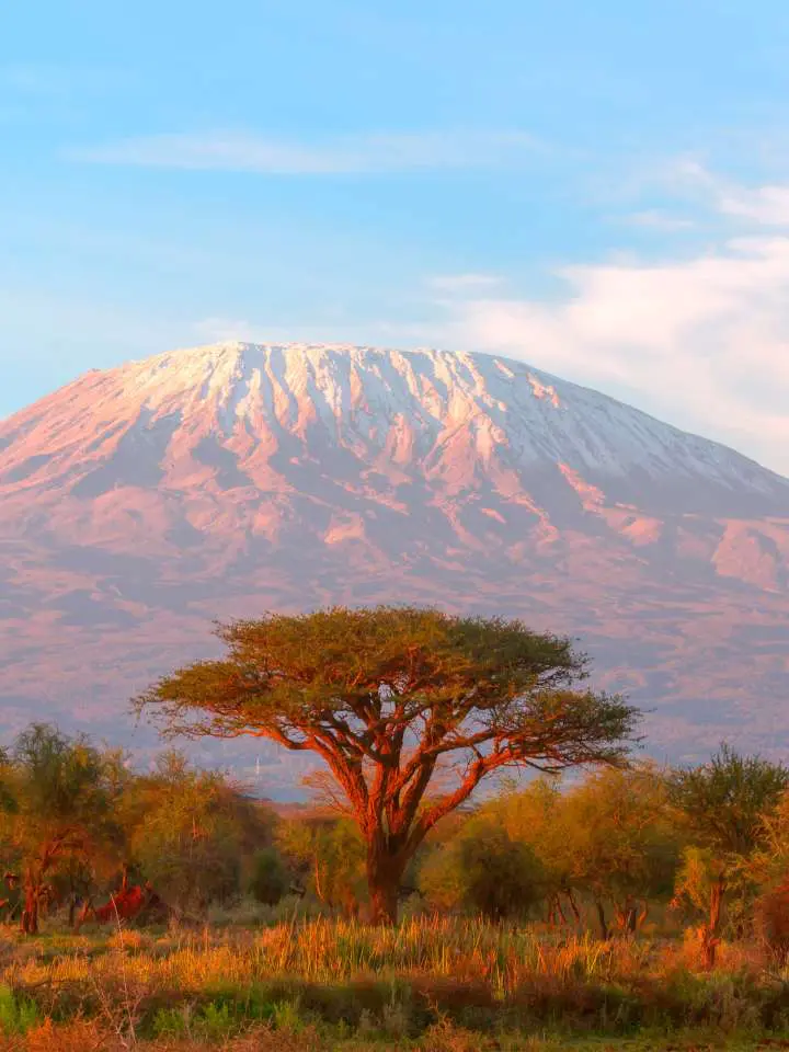 Tanzania safari e mare