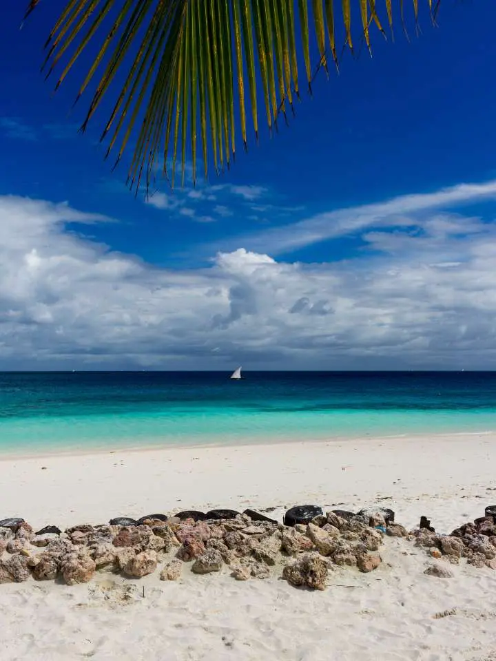 Mokoro Tours Viaggi in Africa