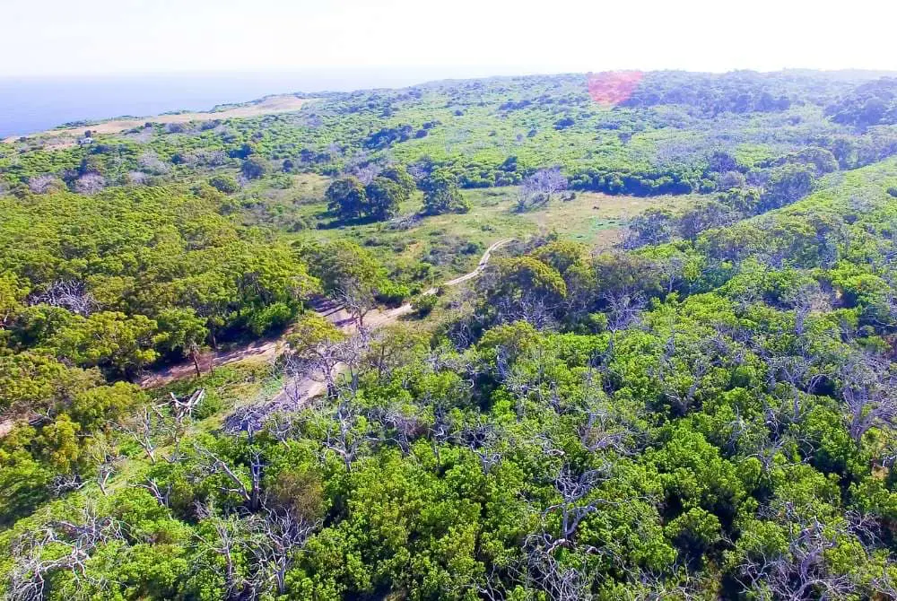 Viaggi in Botswana Chobe