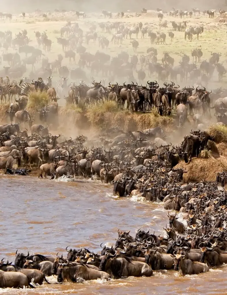 safari-in-kenya-parchi-mokoro