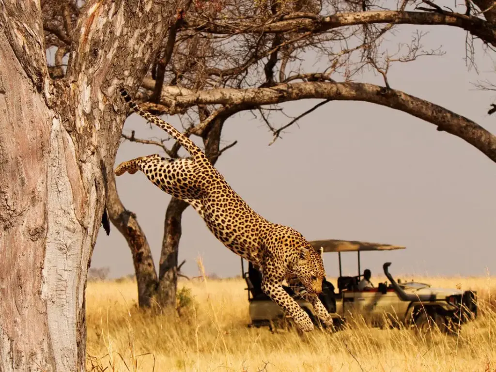 viaggi-botswana-Nxai-Pan-National-Park