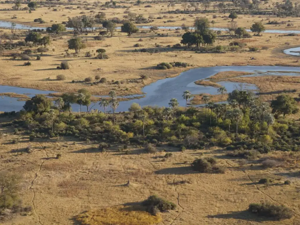 viaggi-in-botswana-Makgadikgadi-National-Park