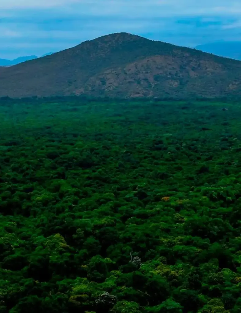 Viaggi in Etiopia | Mokoro Tours