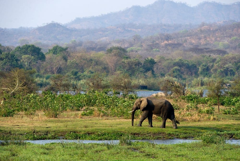viaggi-in-malawi-mokoro-majete