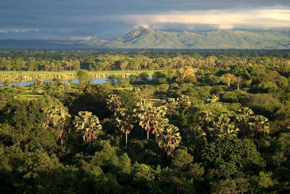 viaggi-in-malawi-mokoro-nkhotakota