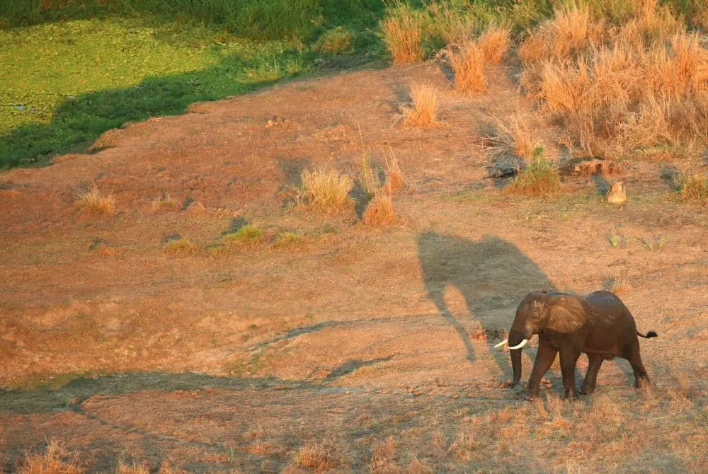 viaggi-in-mozambico-limpopo-mokoro