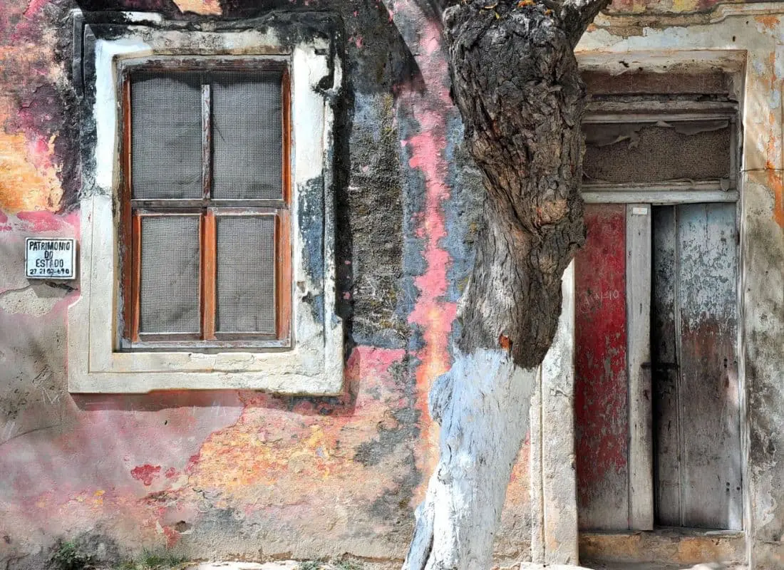 viaggi-in-mozambico-mokoro