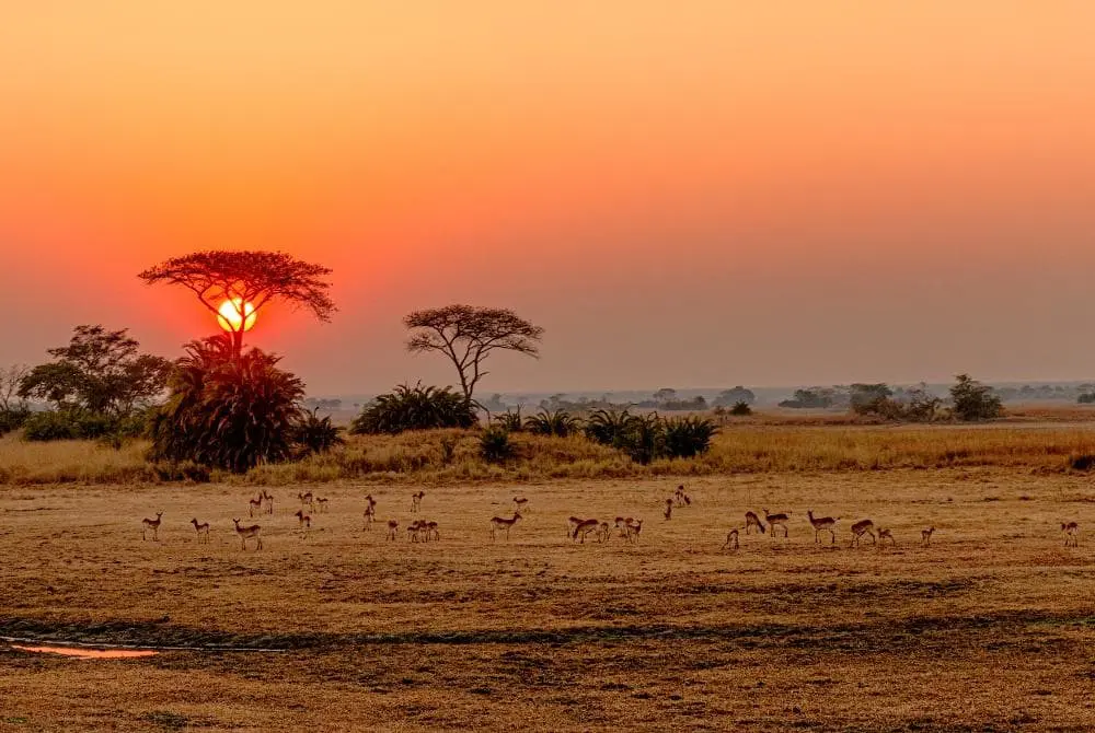 viaggi-in-zambia-kafue-mokoro