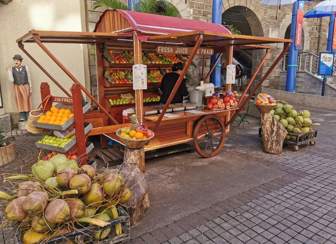 viaggi-mauritius-mokoro