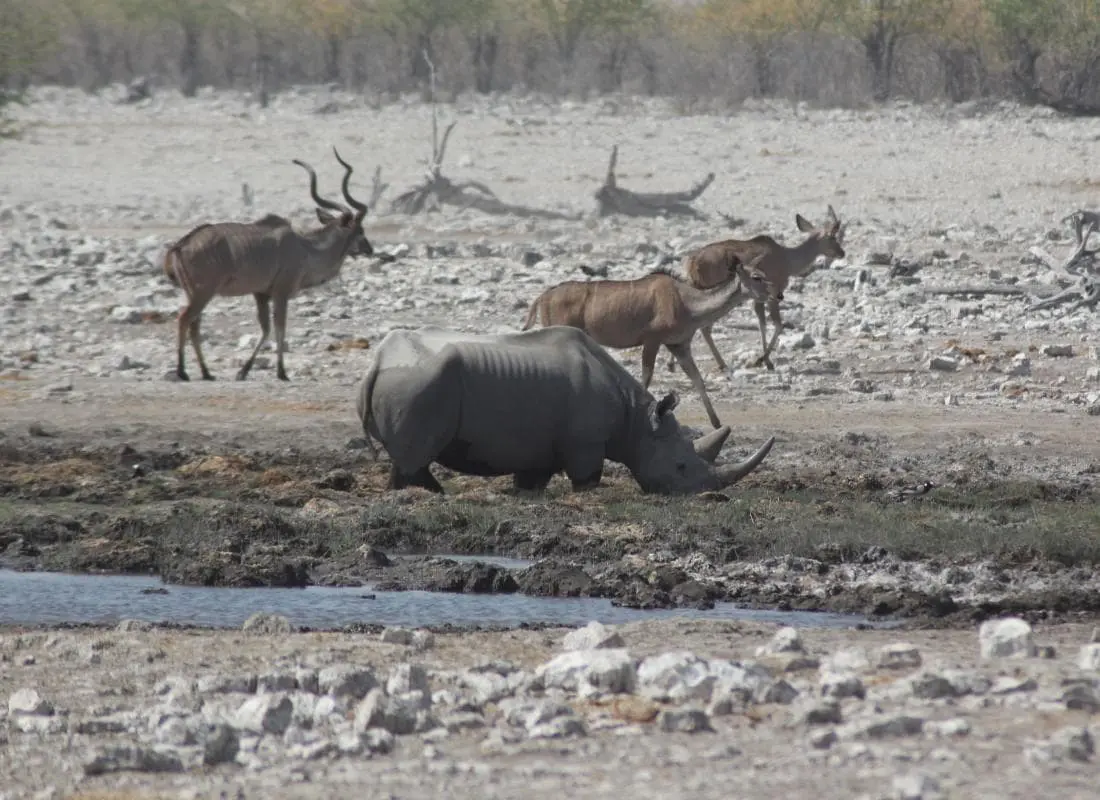 viaggi-namibia-mokoro
