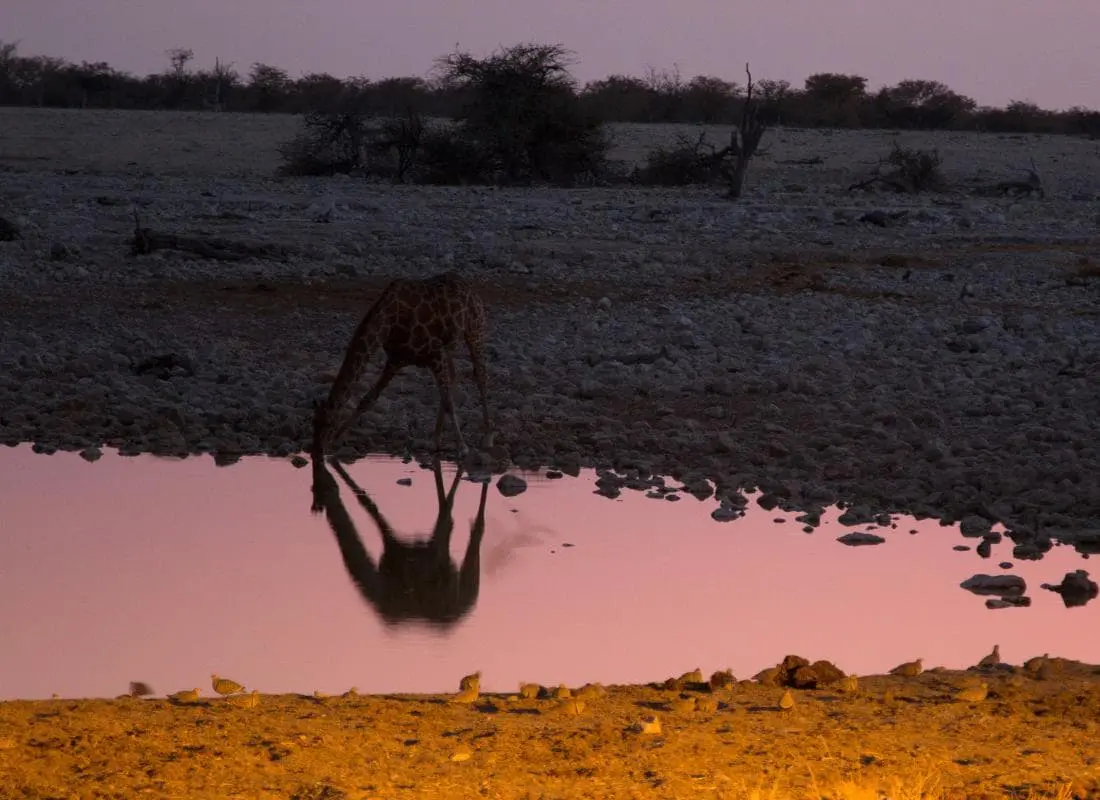 viaggi-namibia-mokoro