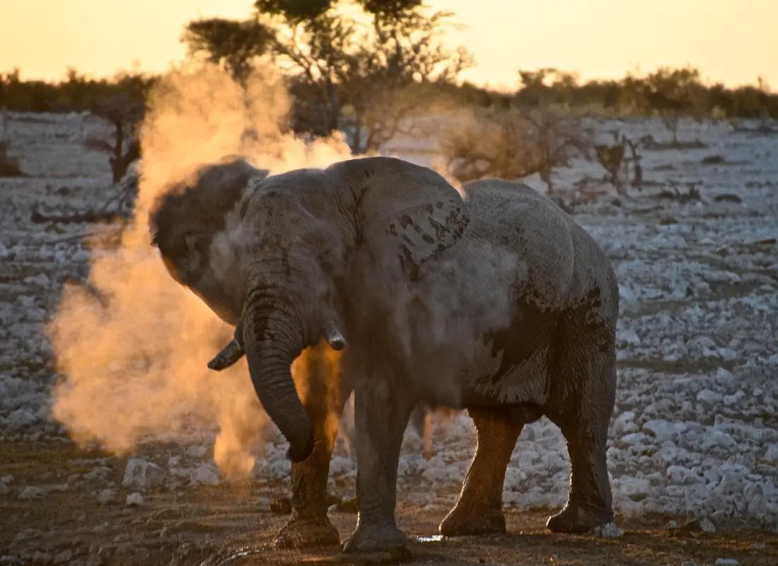 viaggi-namibia-mokoro