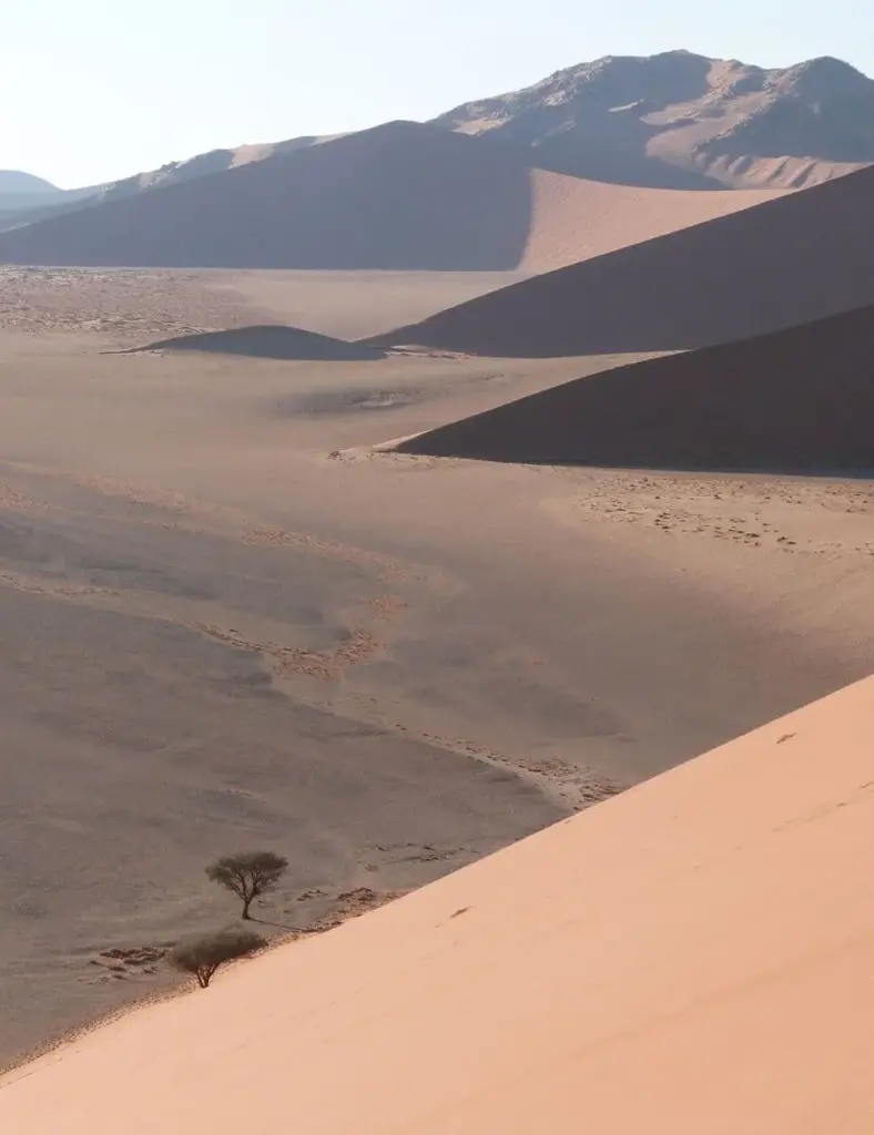 viaggi-namibia-parchi-mokoro