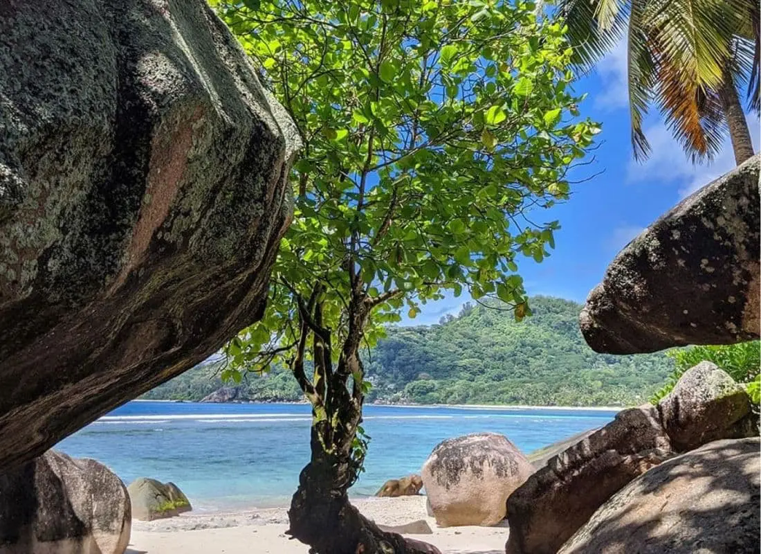 viaggi-seychelles-mokoro