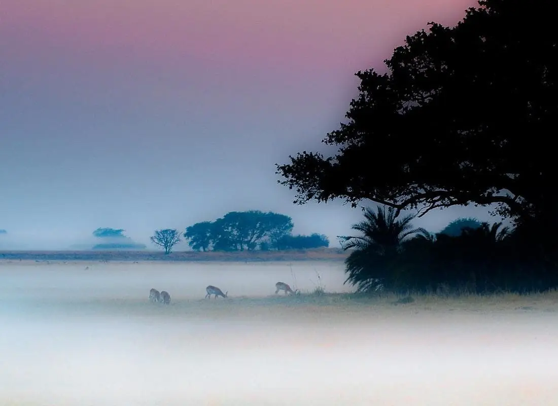 viaggi-in-zambia-mokoro