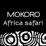 Mokoro Tours Viaggi in Africa