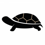 viaggi a Seychelles Mokoro Tours