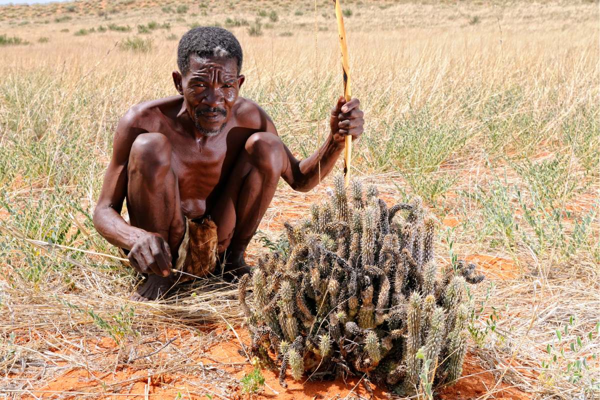 deserto-del-kalahari-bushman-hoodia-mokoro
