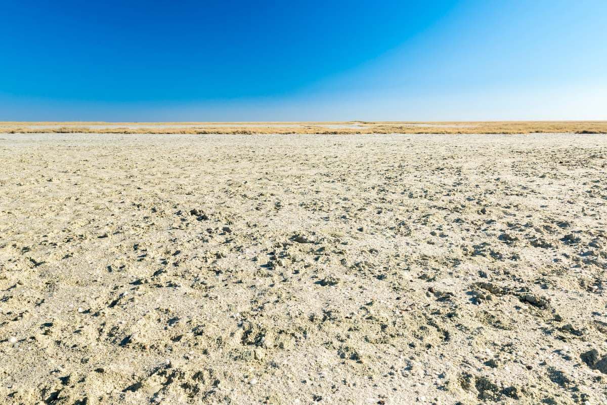 deserto-del-kalahari-makgadikgadi-pans-mokoro