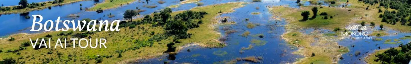 viaggi-in-botswana-mokoro