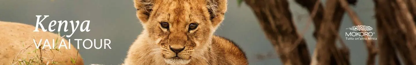 viaggi-in-kenya-mokoro