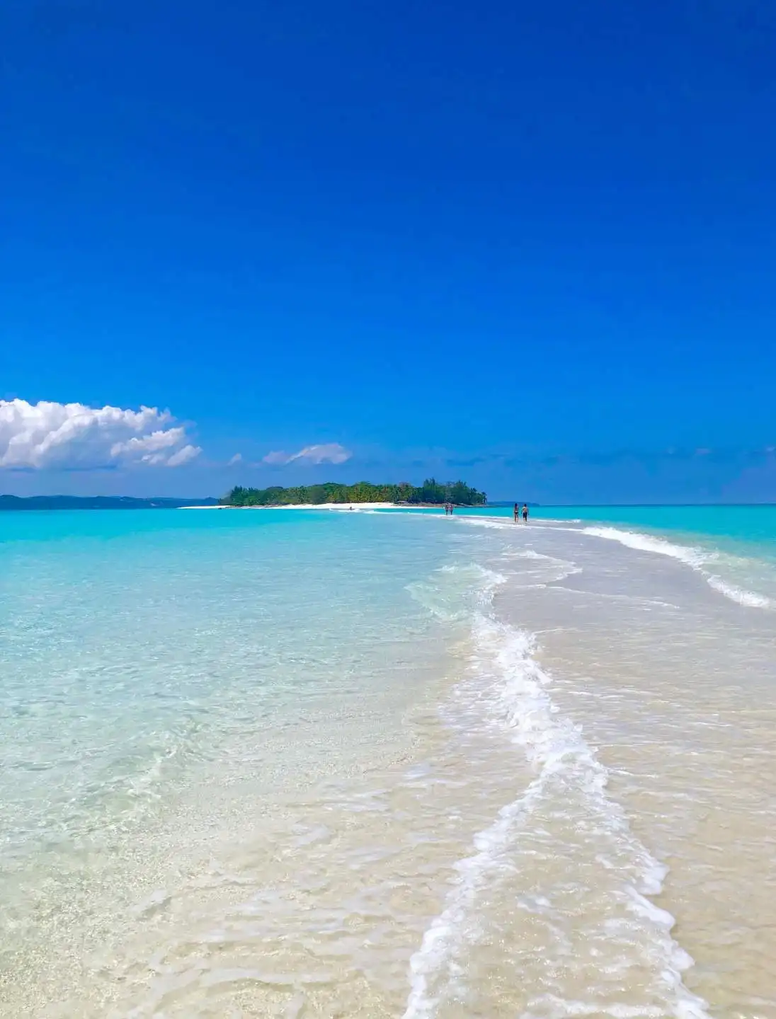 Madagascar foresta Perinet e Anakao