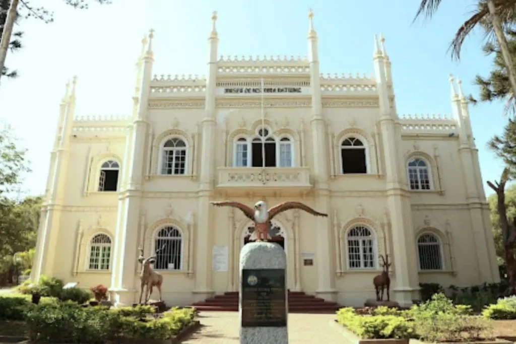 maputo-mozambico-museo-di-storia-naturale-mokoro