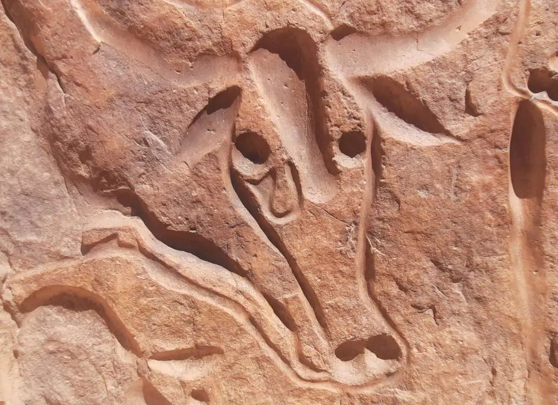 viaggi-in-algeria-mokoro