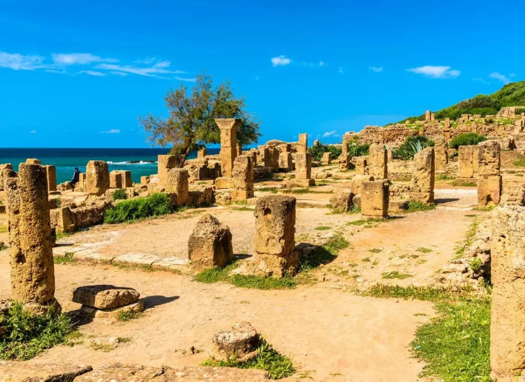 viaggi-in-algeria-tipasa-mokoro