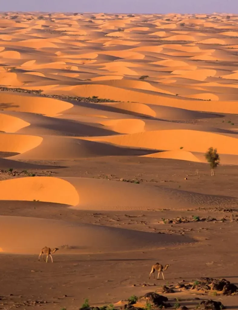 viaggi-in-mauritania-parchi-e-paesaggi-mokoro