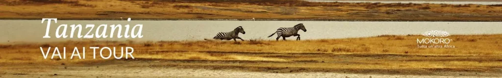 viaggi-in-tanzania-mokoro