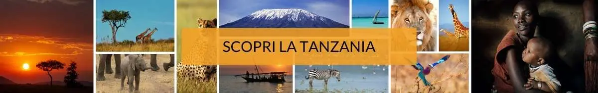 viaggi-in-tanzania-mokoro