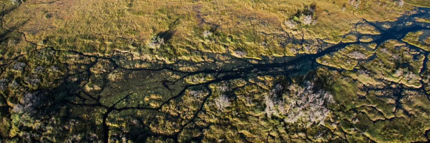 delta-dell-okavango-mokoro 