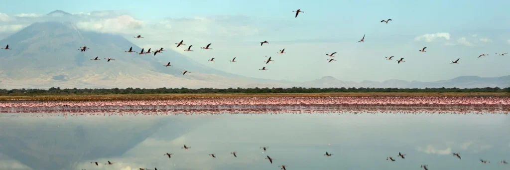 lago-natron-tanzania-mokoro