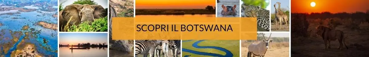 viaggi-in-botswana-mokoro