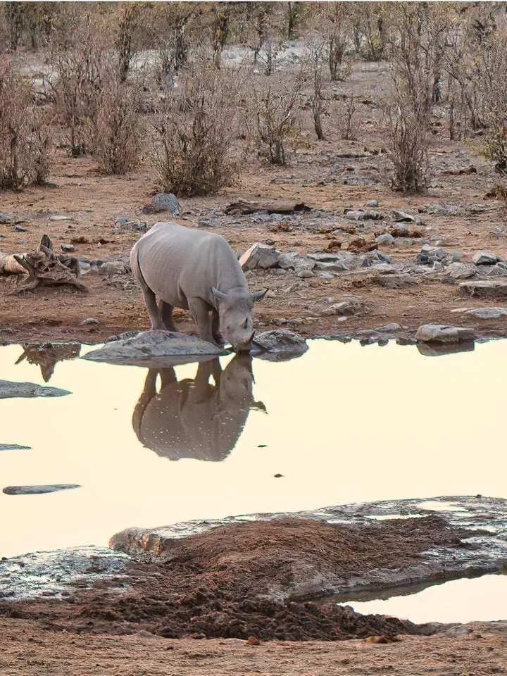 namibia-selfdrive-gdn-mokoro