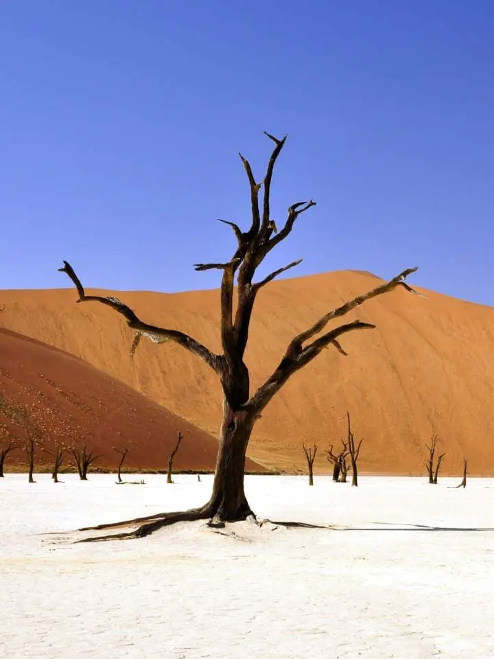 namibia-selfdrive-gdn-mokoro