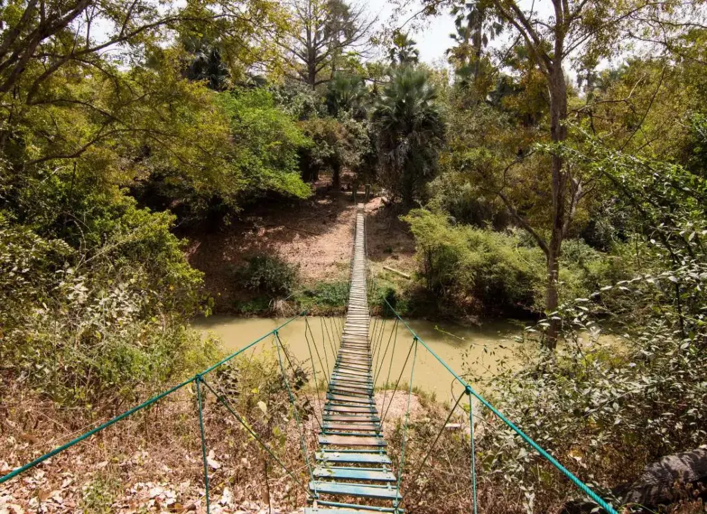 10-viaggi-in-senegal-niokolo-badiar-mokoro