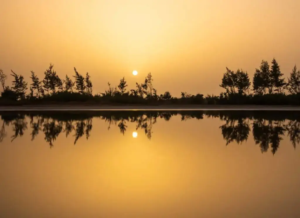 12-viaggi-in-senegal-parco-nazionale-di-djoudj-mokoro