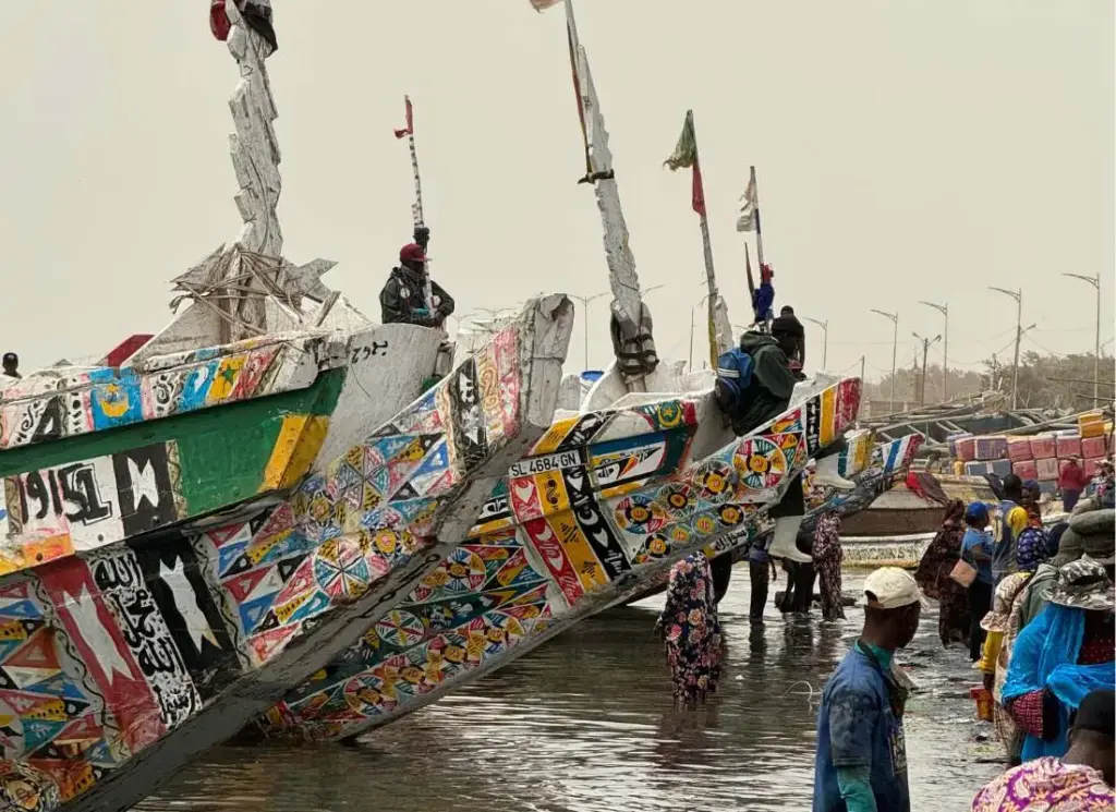 6-viaggi-in-senegal-saint-louis-mokoro