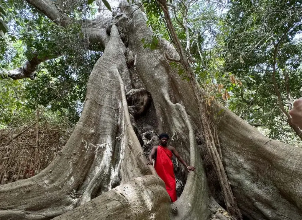 8-viaggi-in-senegal-casamance-mokoro